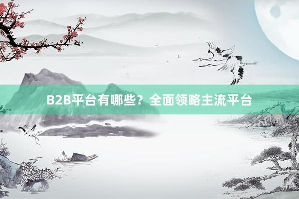B2B平台有哪些？全面领略主流平台
