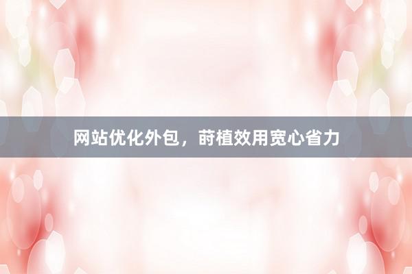 网站优化外包，莳植效用宽心省力