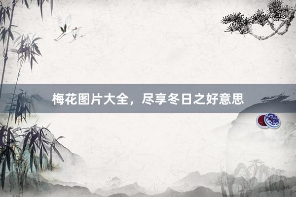 梅花图片大全，尽享冬日之好意思