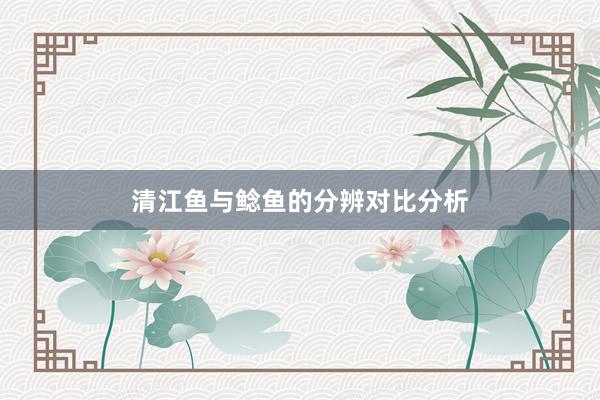 清江鱼与鲶鱼的分辨对比分析